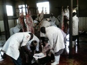 Qurbani